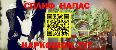 индика Бузулук