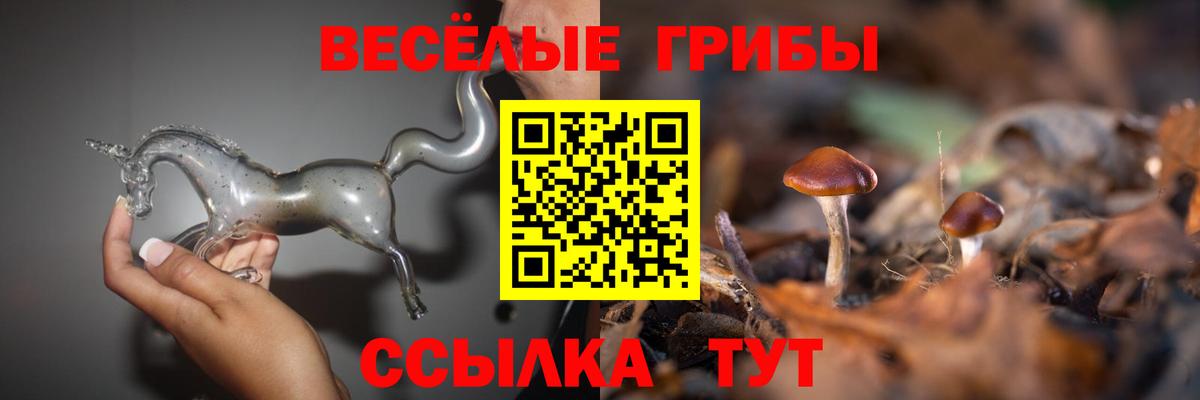 Тара  Галлюциногенные грибы GOLDEN TEACHER  Псилоцибиновые грибы Psilocybine cubensis  Вход с VPN 